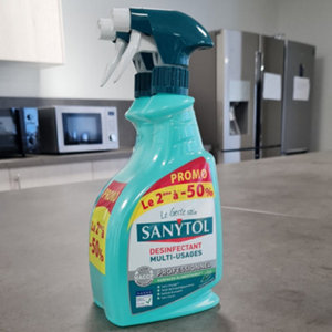 Lot de 2 désinfectants multi-usages