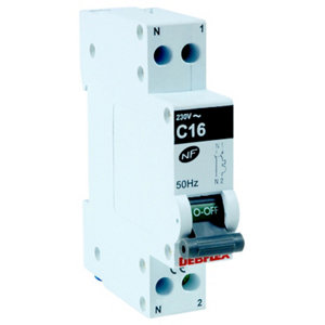 Disjoncteur phase + neutre à vis 10 A