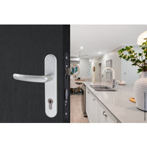 Ensemble de porte entraxe 165 mm avec serrure pour cylindre "budget 165 tcy"