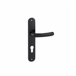 Ensemble de poignée porte BUDGET EA195 ONYX TCY noir entraxe 195 mm