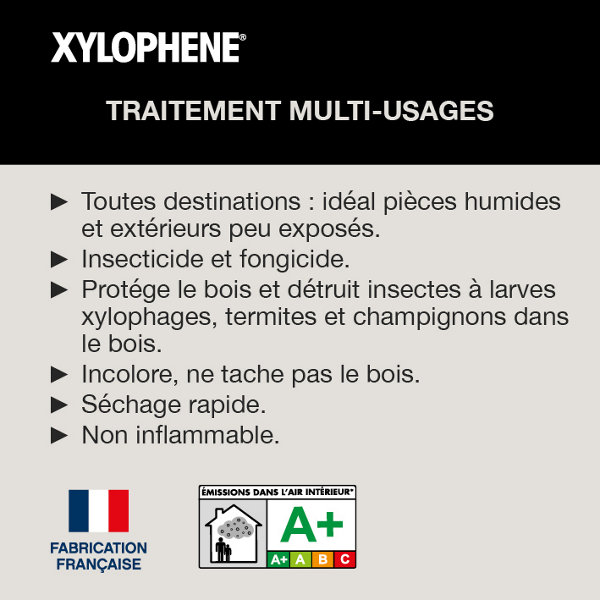 Traitement des bois contre les insectes et les champignons en