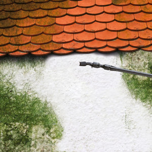 Anti dépôts verts concentré 1L 