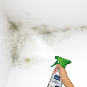 Traitement anti-moisissures intérieur extérieur 0,5 L