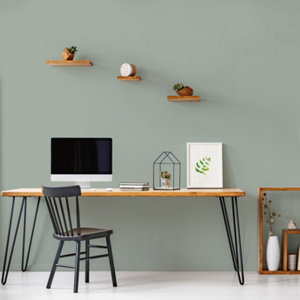 Peinture Vert ficus 2l5 velours