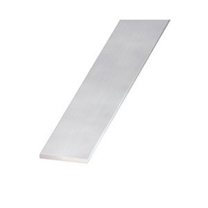 Plat aluminium anodisé - 20 x 2 mm 1 m Argent