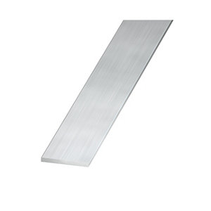 Plat aluminium brut - 50 x 2 mm 1 m Argent