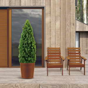 Peinture extérieure multi-matériaux - Châtaignier - 0,5 L