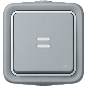 Interrupteur va-et-vient à témoin Plexo gris - 10 A - 230V