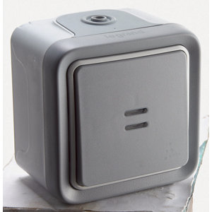 Poussoir lumineux "Plexo" bornes automatiques gris