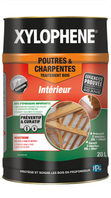 Traitement Poutres & Charpentes Xylophène 20 - vue 1
