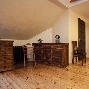 Traitement meubles objets et parquets "XYLOPHENE" 1L