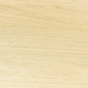 Vitrificateur satin incolore pour parquet - 5 L