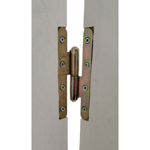 Paumelles de bâtiment - bout rond - 160 x 60 mm - Droite