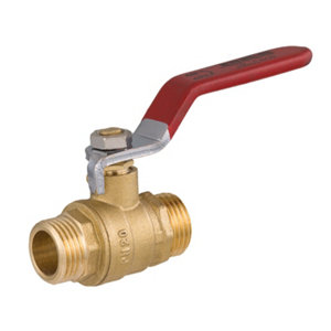 Vanne bs mm 15/21 plate