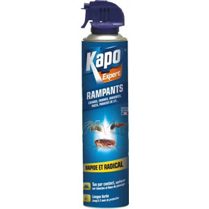 Aérosol insecticide insectes rampants 400 ml
