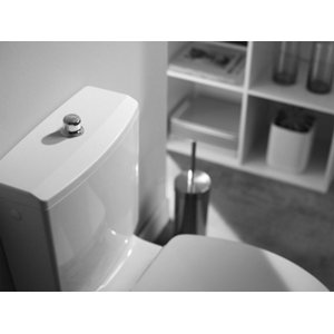 Ensemble chasse d'eau à tirette robinet piston