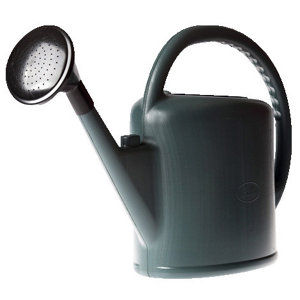 Arrosoir standard 11 l - l. 52 x l. 20 x h. 42  cm