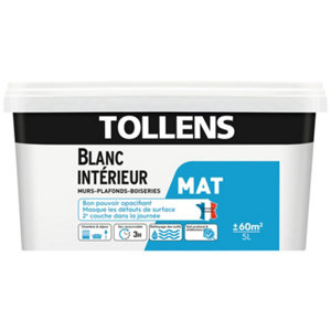 Peinture bicouche murs, plafonds et boiseries intérieure acrylique mat blanc 5 L