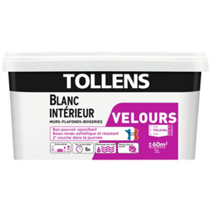 Peinture bicouche murs, plafonds et boiseries intérieure acrylique velours blanc 5 L
