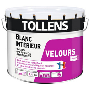 Peinture bicouche murs, plafonds et boiseries intérieure acrylique velours blanc 10 L
