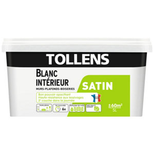 Peinture bicouche murs, plafonds et boiseries intérieure acrylique satin blanc 5 L