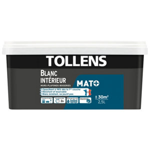 Peinture monocouche plafonds intérieurs mat blanc 2.5 L