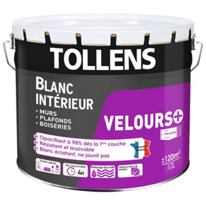 Peinture monocouche murs, plafonds et boiseries intérieure acrylique velours blanc 10 L