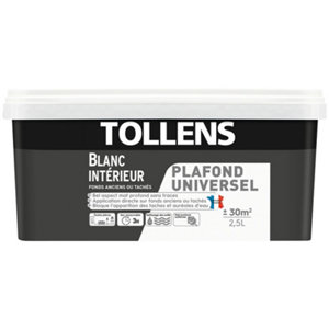Peinture intérieure monocouche plafonds tachés Blanc Mat 2.5 L