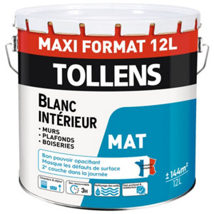 Peinture bicouche murs et plafonds intérieure mat blanc 12 L