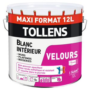 Peinture bicouche murs et plafonds intérieure velours blanc 12 L