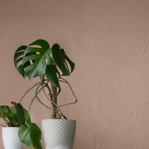 Colorant concentré ombre calcinée pour colorer tous types de peintures 50 ml