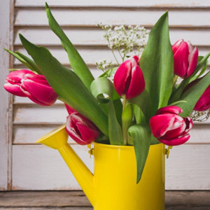 Aerosol multi-supports 400 ml Ral 1003 jaune