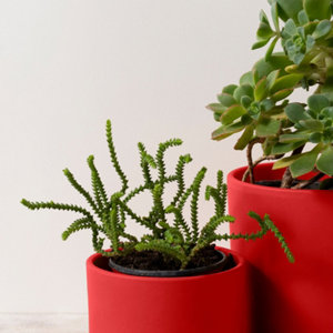 Aerosol 400 ml RAL3000 Rouge