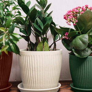 Aerosol 400 ml RAL6005 Vert