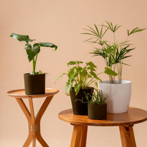 Aerosol multi-supports 400 ml Ral 8011 Brun