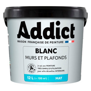 Peinture mur et plafond blanc mat - 12L
