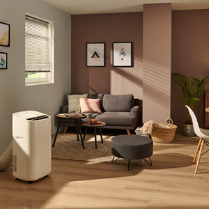 Climatiseur mobile 9000BTU / 2 500 W