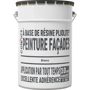 Peinture façade pliolite blanc mat 5 L