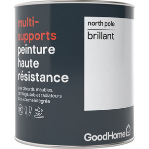 Peinture haute résistance multi-supports acrylique brillant blanc North Pole 0,75 L