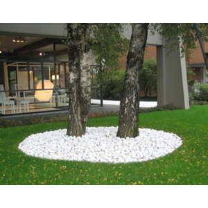 Gravier marbre de Carrare blanc - Sac de 25 kg