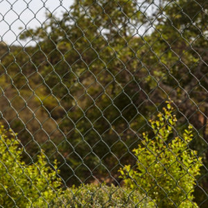 Rouleau grillage simple torsion vert - 50 x 50 mm - H. 1,50 m x L. 20 m