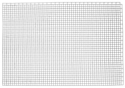 Grillage soudé Blooma maille 13 x 13 mm galva 5 x h.1 - vue 1