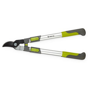 Cisaille à branche télescopique