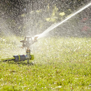 Arroseur cracheur en métal - L. 30 x l. 11,8 x H. 5,3 cm