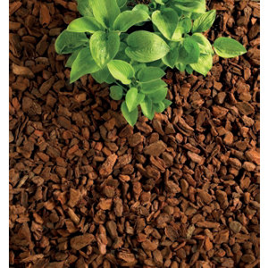 Écorces de pin maritime - Sac de 50 L