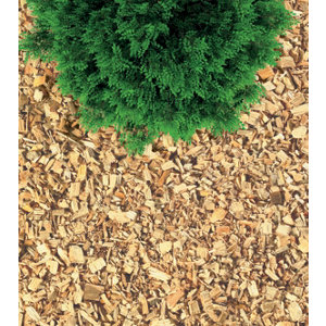 Copeaux "Verve" bois  jardin 100 L