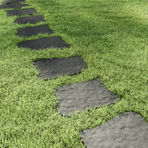 Pas japonais "Zento"