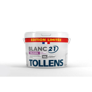 Peinture intérieure murs et plafonds 2 en 1 blanc velours 10 L