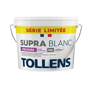 Peinture intérieure velours blanc murs et plafonds Supra blanc 10 L