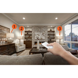 Lot de 3 prises télécommandées multifonction